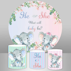 Rosa Und Blau Elefant Runden Baby Dusche Dekor Hintergrund