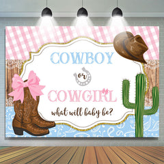 Cowboy Oder Cowgirl Was Wille Baby Sei Geschlecht Aufdecken Hintergrund