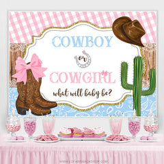 Cowboy Oder Cowgirl Was Wille Baby Sei Geschlecht Aufdecken Hintergrund